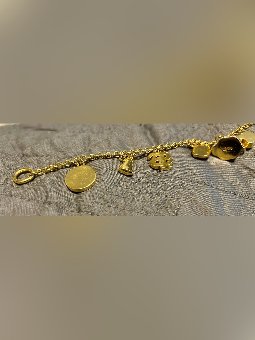 Danbury Mint Gold-Tone Enamel Charm Bracelet - Florida State - Picture 4 of 7